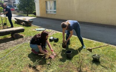 SADNJA U SKLOPU PROJEKTA “ZAJEDNO ZA PRIRODU”
