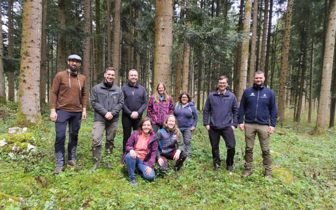 BUDUĆNOST GOSPODARENJA ŠUMAMA (PROJEKT FUTURE FM)