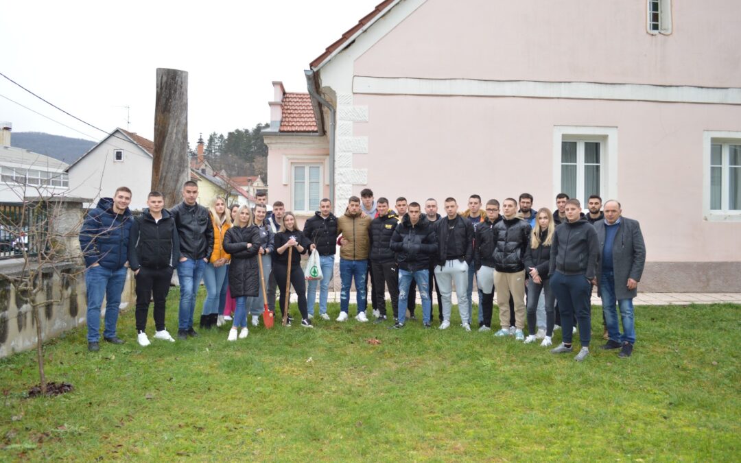 DIVLJA KRUŠKA POSAĐENA U ŠKOLSKI VRT