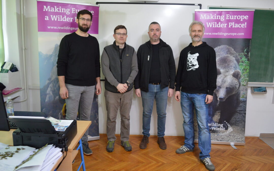 PREDAVANJE O SMEĐEM MEDVJEDU ZAKLADE REWILDING VELEBIT